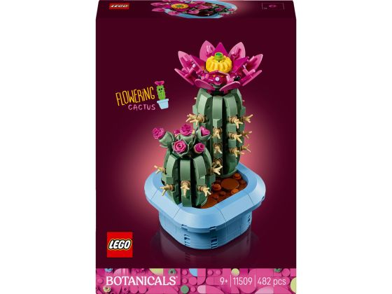 LEGO Botanicals 11509 Bloeiende cactus 